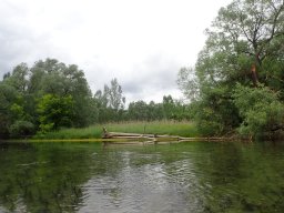 Phillippsbureg, 2 Tage Tour, Mai 2026
